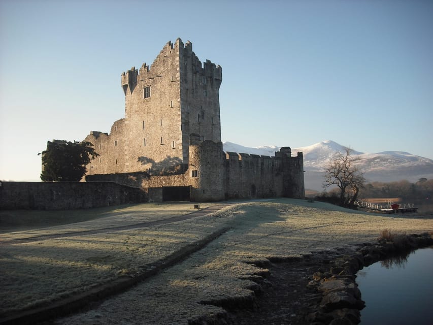 Killarney: Hop-On Hop-Off Bus to Killarney National Park - Who This Tour Suits Best