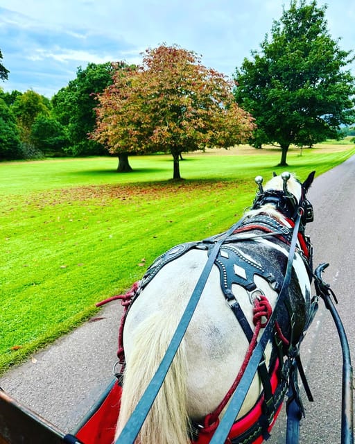 Killarney Jaunting Car Tour - Who this private tour suits best