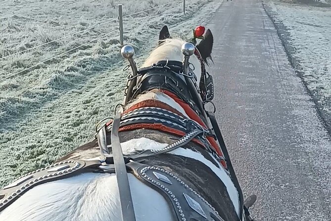 Killarney Jaunting Car Tour - Why a traditional jaunting car is the right pace for Killarney