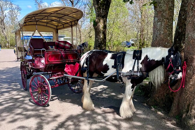 Killarney Jaunting Car Tour - Covered jaunting cars and wool blankets, comfort in Irish mist