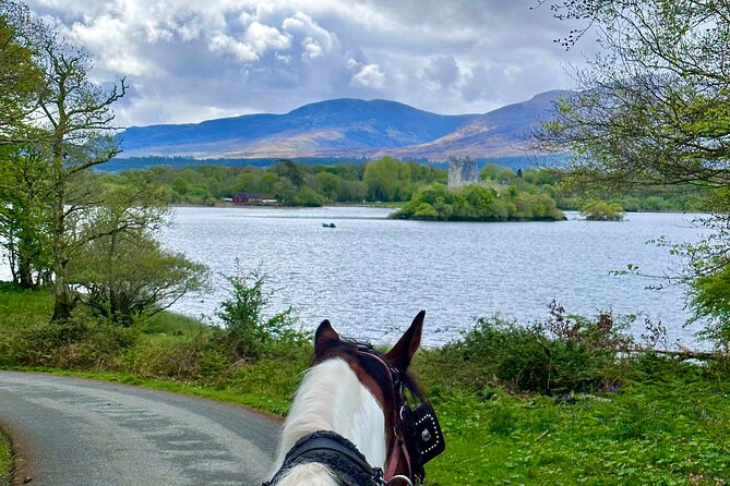 Killarney Jaunting Car Tour - Stop-by-stop: Killarney National Park, deer park, and wildlife you can spot