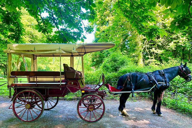 Killarney Jaunting Car Tour - Lakes of Killarney, Innisfallen Island, and Carrauntoohil in quick bursts