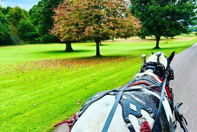Killarney Jaunting Car Tour - Killarney House and Gardens, plus the stories your guide shares