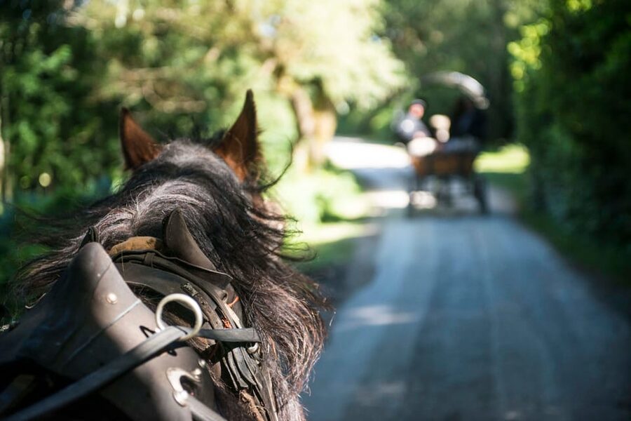 Killarney: Jaunting Car Tour with Afternoon Tea - Entering Killarney from the Great Southern Hotel steps