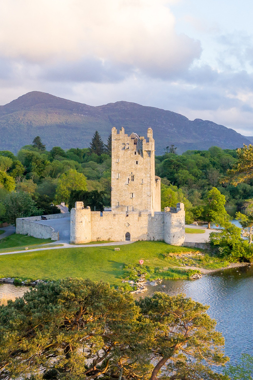 Killarney: Jaunting Car Tour with Afternoon Tea - What’s on the afternoon tea plate (and why it feels like more than a snack)