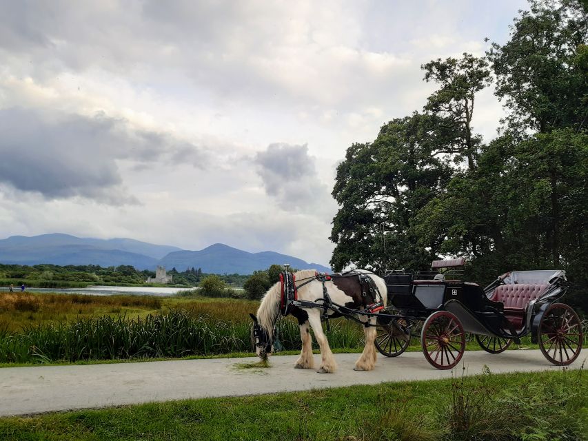 Killarney: Killarney National Park Private Tour - Quick highlights