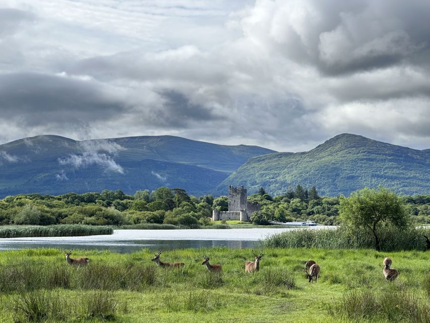 Killarney: Killarney National Park Private Tour - Killarney National Park Lakes: The Main Event