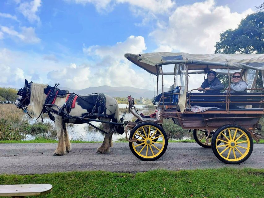 Killarney: Killarney National Park Private Tour - Innishfallon Monastery: Where the Scenery Gains Weight