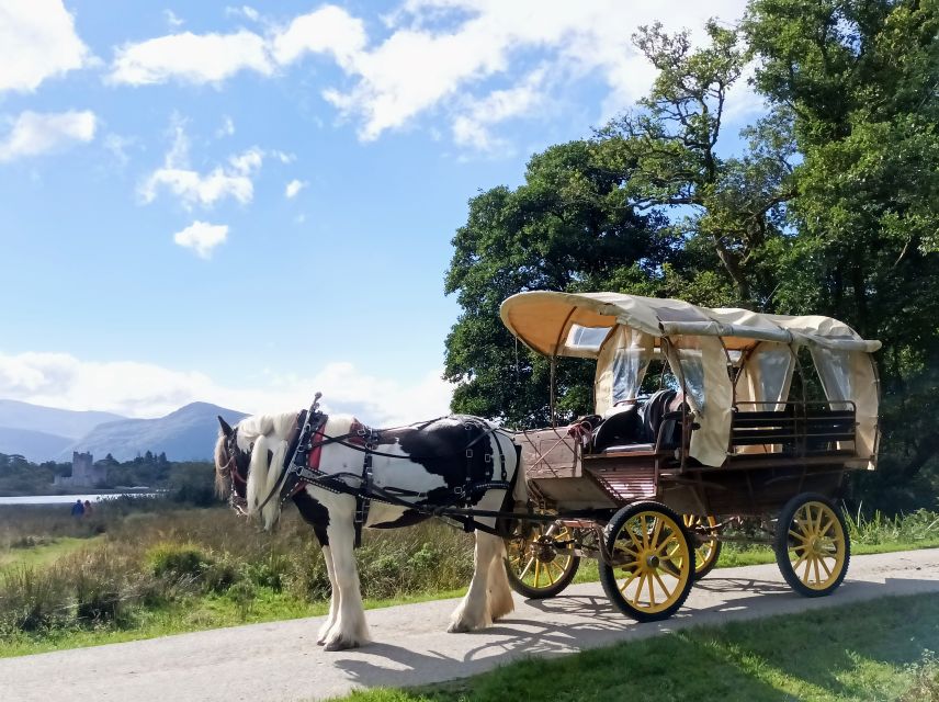 Killarney: Killarney National Park Private Tour - The Guides: The Real Reason This Feels Personal
