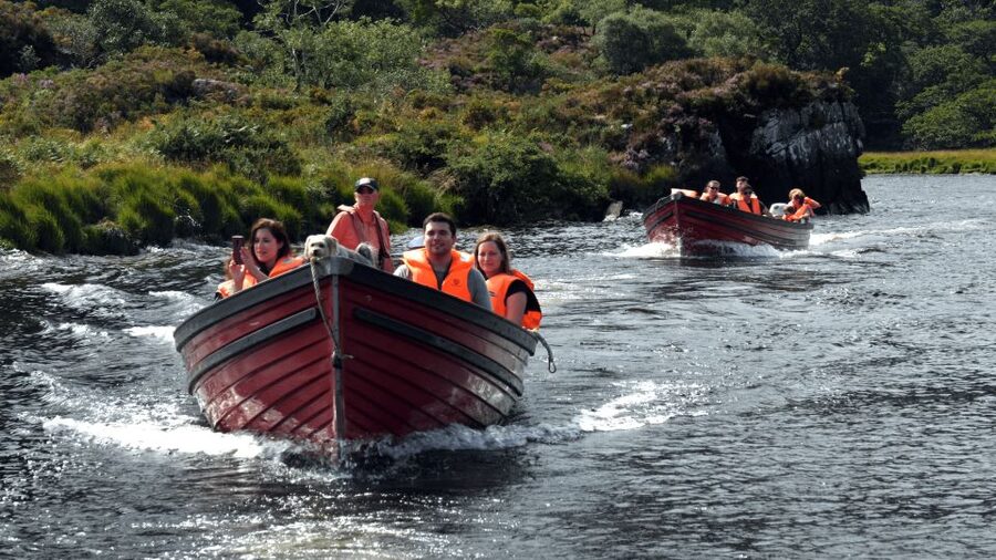 Killarney: Lakes of Killarney Boat Tour with Transfer - The 2pm Boat Cruise to Ross Castle: What to Watch From the Water