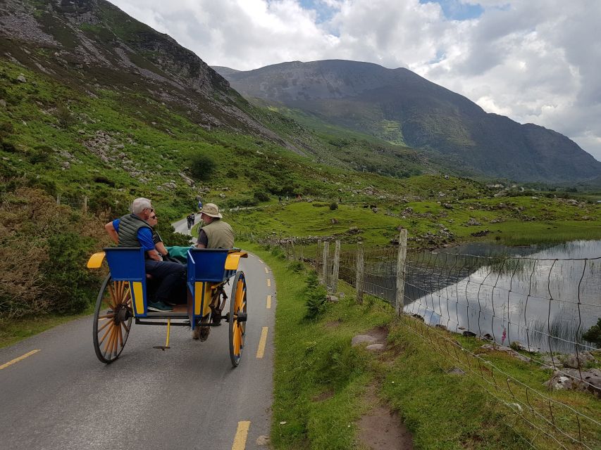 Killarney: Lakes of Killarney Boat Tour with Transfer - What You Get for $68: Value, Inclusions, and the Extra Costs to Plan For
