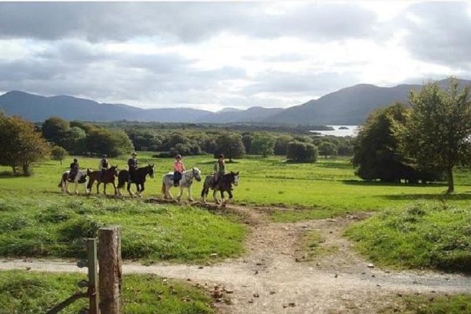 Killarney National Park Horseback Ride. Co Kerry. Guided. 1 hour. - Killarney National Park Horseback Ride: The One-Hour Sweet Spot
