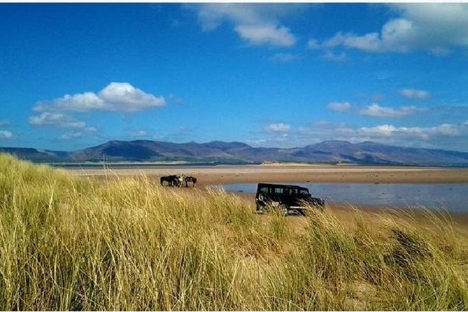 Killarney National Park Horseback Ride. Co Kerry. Guided. 1 hour. - Group Size, Pace, and the Reality of Horse Personality