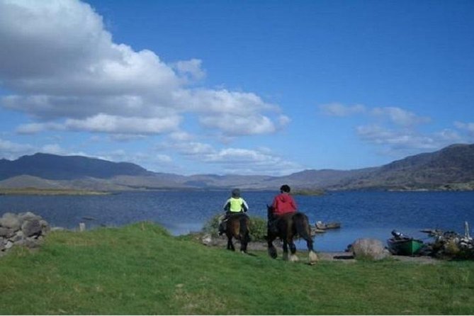 Killarney National Park Horseback Ride. Co Kerry. Guided. 1 hour. - Horse Matching Works Better Than You Think