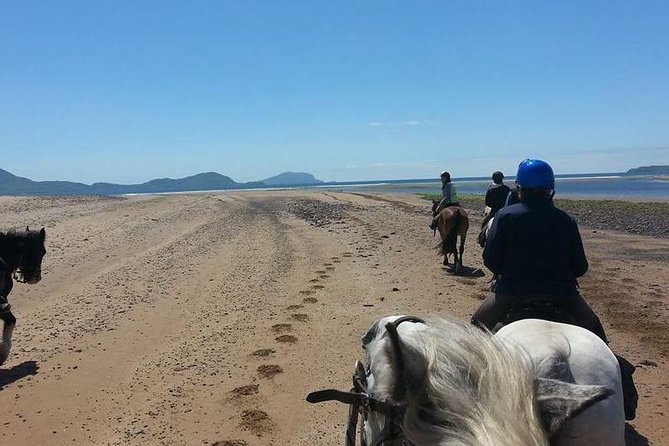Killarney National Park Horseback Ride. Co Kerry. Guided. 2 hours. - Horse matching: the underrated part that makes or breaks your ride