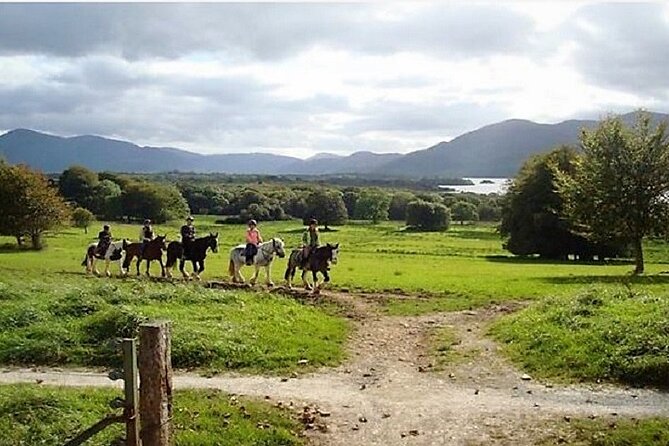 Killarney National Park Horseback Ride. Co Kerry. Guided. 3 hours. - Choosing Your Horse: Levels, Limits, and Safety Checks