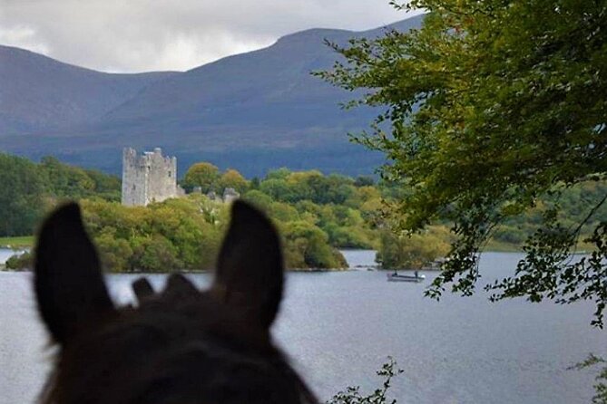 Killarney National Park Horseback Ride. Co Kerry. Guided. 3 hours. - The Park Stop: What You’ll See in Killarney National Park