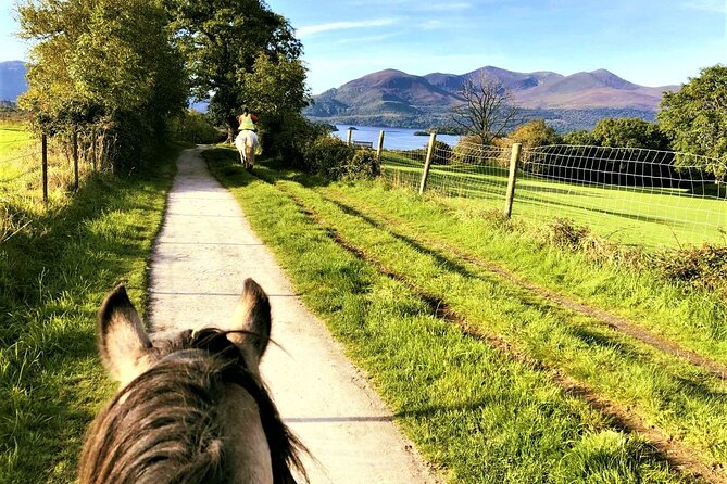 Killarney National Park Horseback Ride. Co Kerry. Guided. 3 hours. - Price and Value: What $282.97 Is Paying For