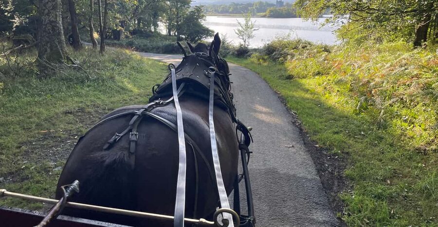 Killarney National Park Jaunting Car Tour - Key highlights you will actually notice