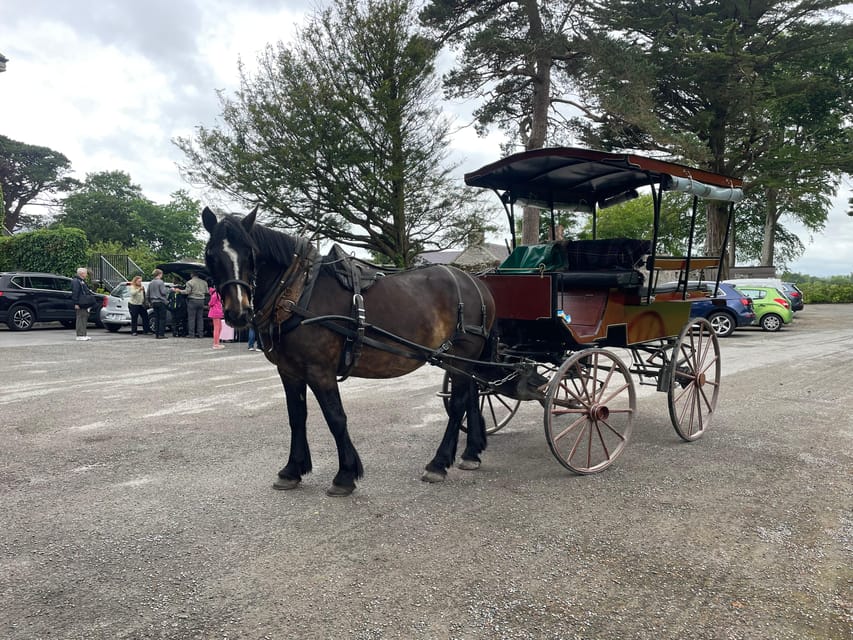 Killarney National Park Jaunting Car Tour - A one-hour tour that focuses on the classics