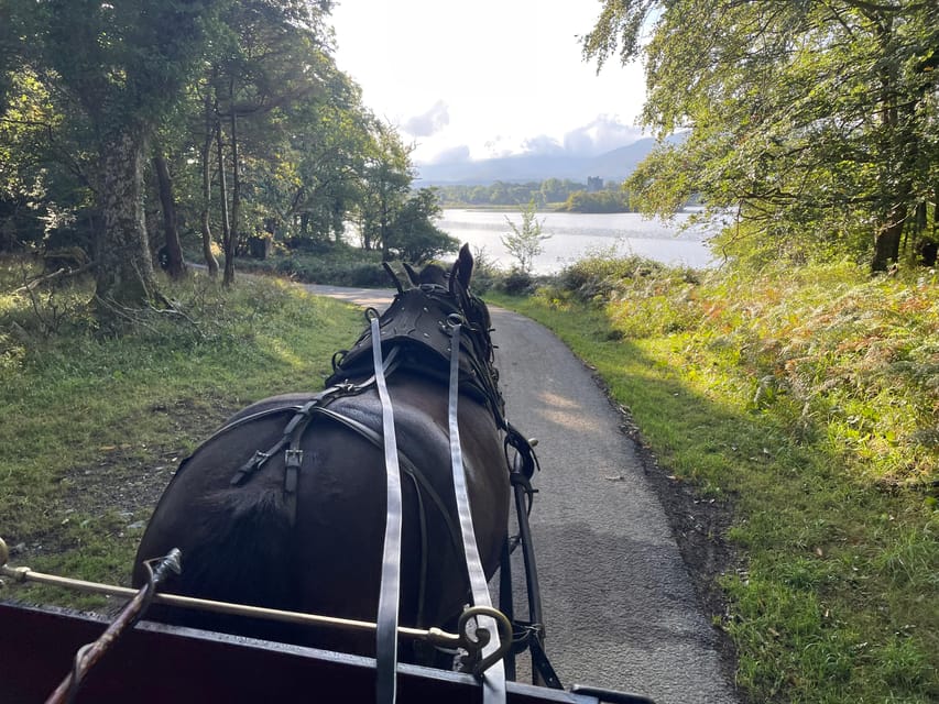 Killarney National Park Jaunting Car Tour - Entering Killarney National Park for panoramic viewpoints