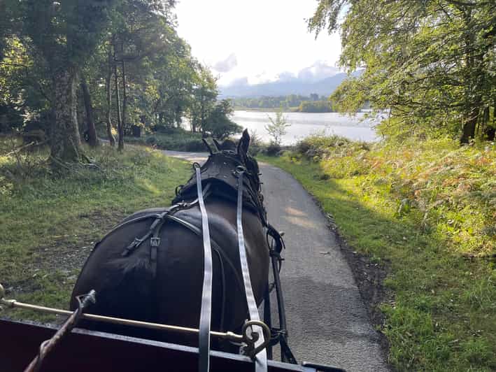 Killarney National Park Jaunting Car Tour - Lough Leane and the lake of learning story