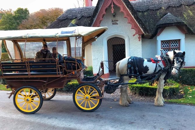 Killarney National Park Tour - Private jaunting through Killarney National Park, without the crowd energy