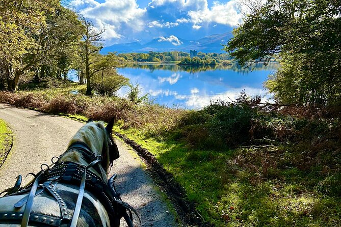 Killarney National Park Tour - What a short hour means for your expectations