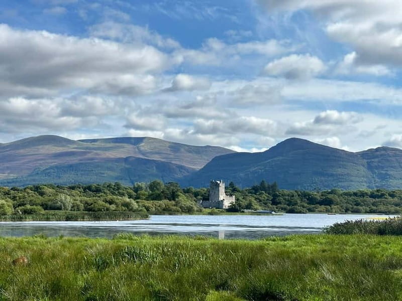Killarney National Park Tour - Weather comfort, tea breaks, and what to bring