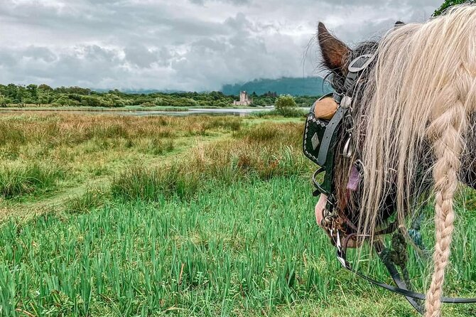 Killarney National Park Tour - Horse carriage time around Lough Leane and Ross Castle