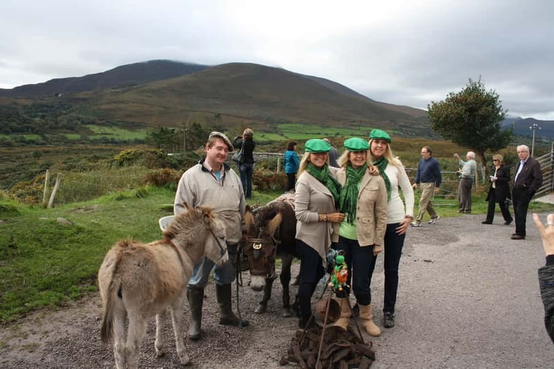 Killarney: Ring of Kerry Bus Tour - Finding Deros Coach Tours and Settling Into the Right Seat