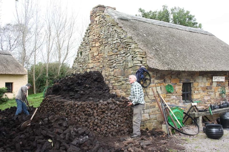 Killarney: Ring of Kerry Bus Tour - What Makes the Guides Matter, from Denis to Batt