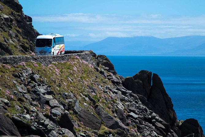 Killarney Super Saver: Dingle and Slea Head Day Trip plus Ring of Kerry and Killarney Lakes Day Trip - Key things that make this tour a smart choice