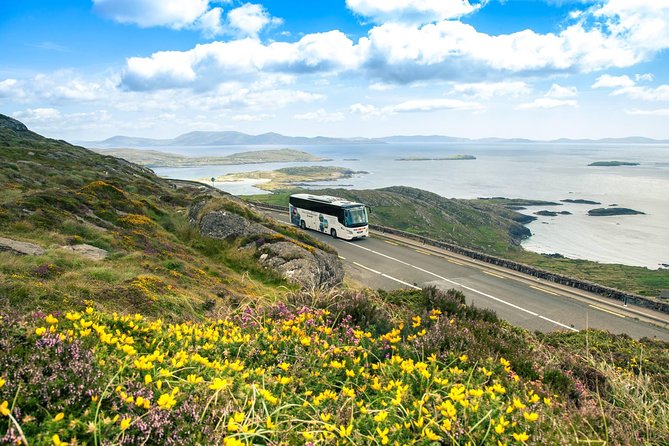 Killarney Super Saver: Dingle and Slea Head Day Trip plus Ring of Kerry and Killarney Lakes Day Trip - Two days of Southwest Ireland, one coach ride