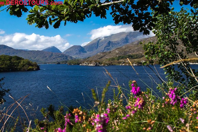 Killarney Super Saver: Dingle and Slea Head Day Trip plus Ring of Kerry and Killarney Lakes Day Trip - Guides who sing and turn the drive into the show