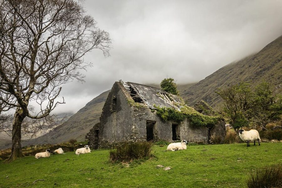 Killarney: The Ring of the Reeks - Backroads Rural Tour - Key highlights you should care about
