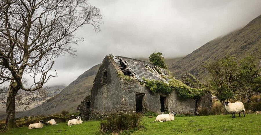 Killarney: The Ring of the Reeks - Backroads Rural Tour - Kenmare lunch break: food off the route, and a chance to recharge