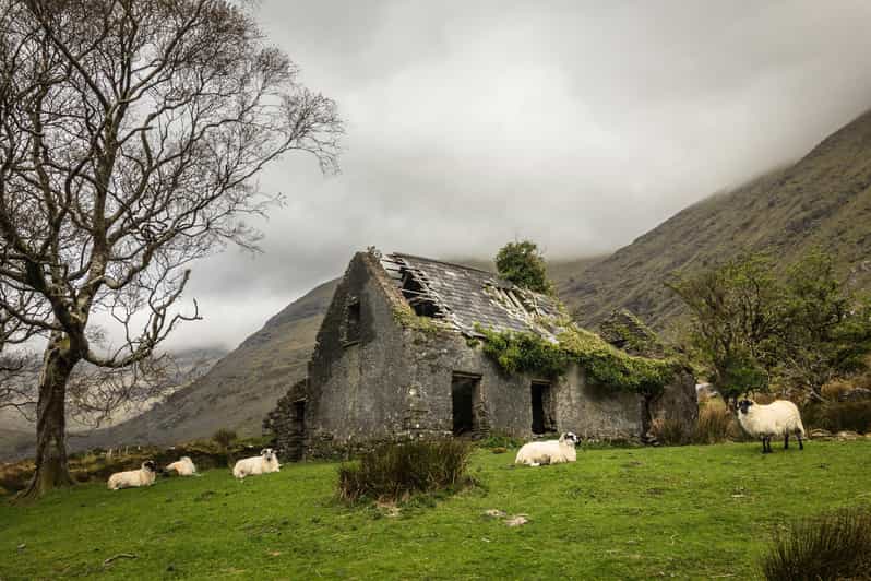 Killarney: The Ring of the Reeks - Backroads Rural Tour - The small group setup that makes photo stops actually work