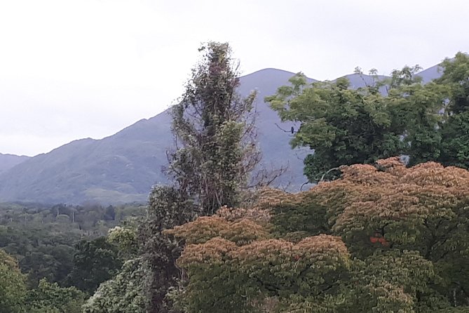Killarney Valley & National Park - Private Tour - Ladies’ View for Photos, Cafés, and the Classic Killarney Outlook