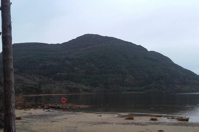 Killarney Valley & National Park - Private Tour - Torc Waterfall: The Soundtrack Stop You’ll Remember