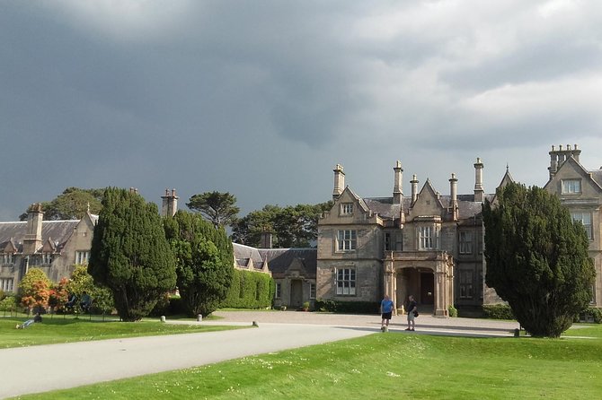 Killarney Valley & National Park - Private Tour - Ross Castle on Lough Lein: Quick History, Big View Reward