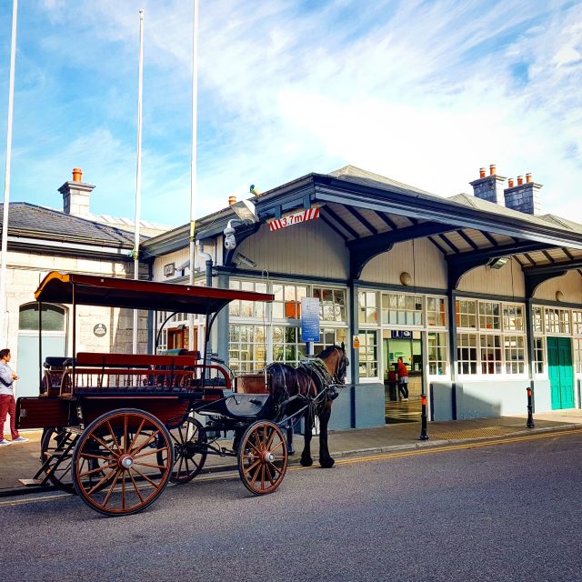 Killarney: Views & Brews Jaunting in Killarney National Park - Who this tour suits best