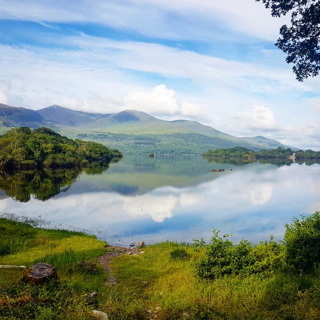 Lakes of Killarney: Boat Cruise - Ross Island and forest ecology: small details that make the lake feel alive