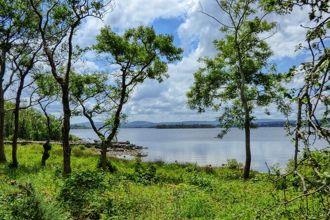 Lough Corrib History and Scenic Lake Cruise from Lisloughrey Pier Tour - Key highlights that make this cruise worth your time