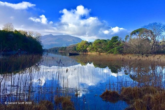 Luxury Photography Day Tour on Dingle Peninsula - Fully Guided and Chauffeured - Weather, fog, and rugged roads you should plan for