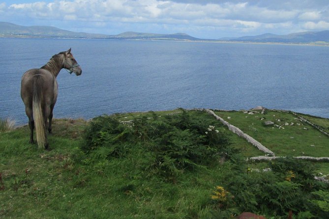 Luxury Photography Day Tour on Ring of Kerry and Skellig Ring - Fully Guided and Chauffeured - The chauffeured van: comfort that matters on a 7-hour coast day