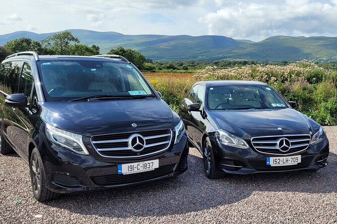 Luxury Private Day Tour The Ring Of Kerry With Local Driver guide - Key things that make this Ring of Kerry day tour work