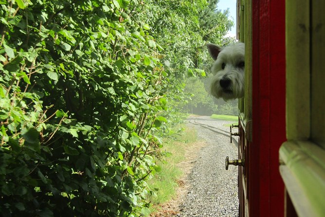 Oakfield Park Day Pass and Train Ride - Oakfield Park Day Pass: what you’re actually buying