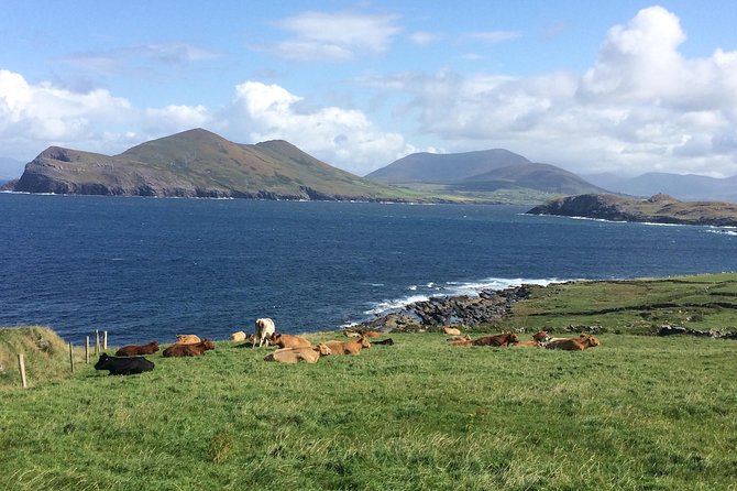 Off the beaten Path Private Tour of Ring of Kerry - Valentia Island by car ferry: the included crossing you’ll actually appreciate
