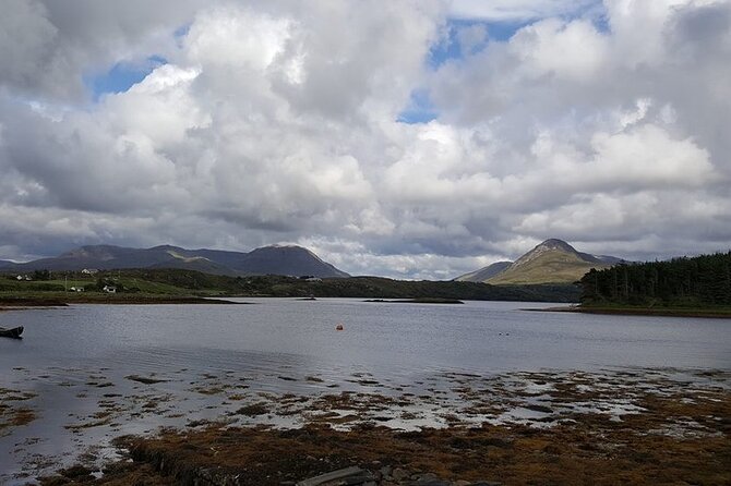 Oyster Farm and Tasting Experience - DK Connemara Oyster Farm: the highlights that matter